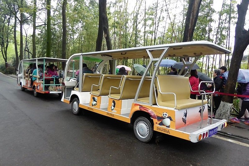 Panda-bus can hold up to 6 persons