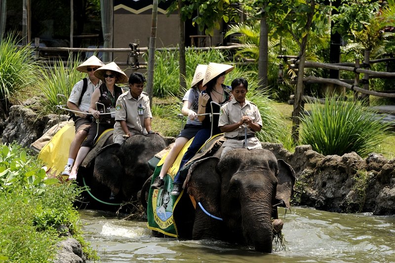 Take an elephant ride, Bali