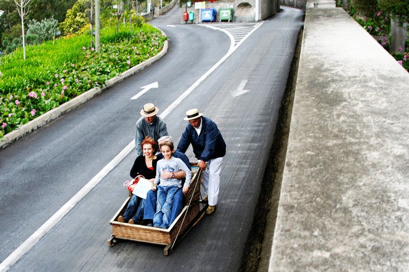 Monte, The wooden sledges could reach the speed of 48 km/hour, Madeira