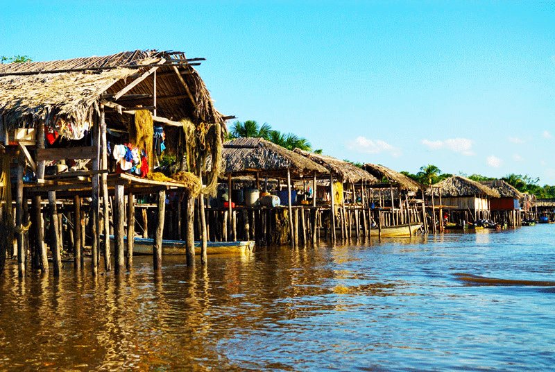Warao houses are built on the stilt without walls and covered with palm leaves, Maturin