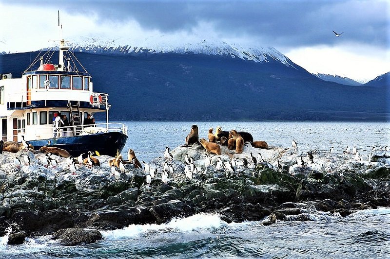 There are seals and penguins greeting you from the channel's shore, Ushuaia