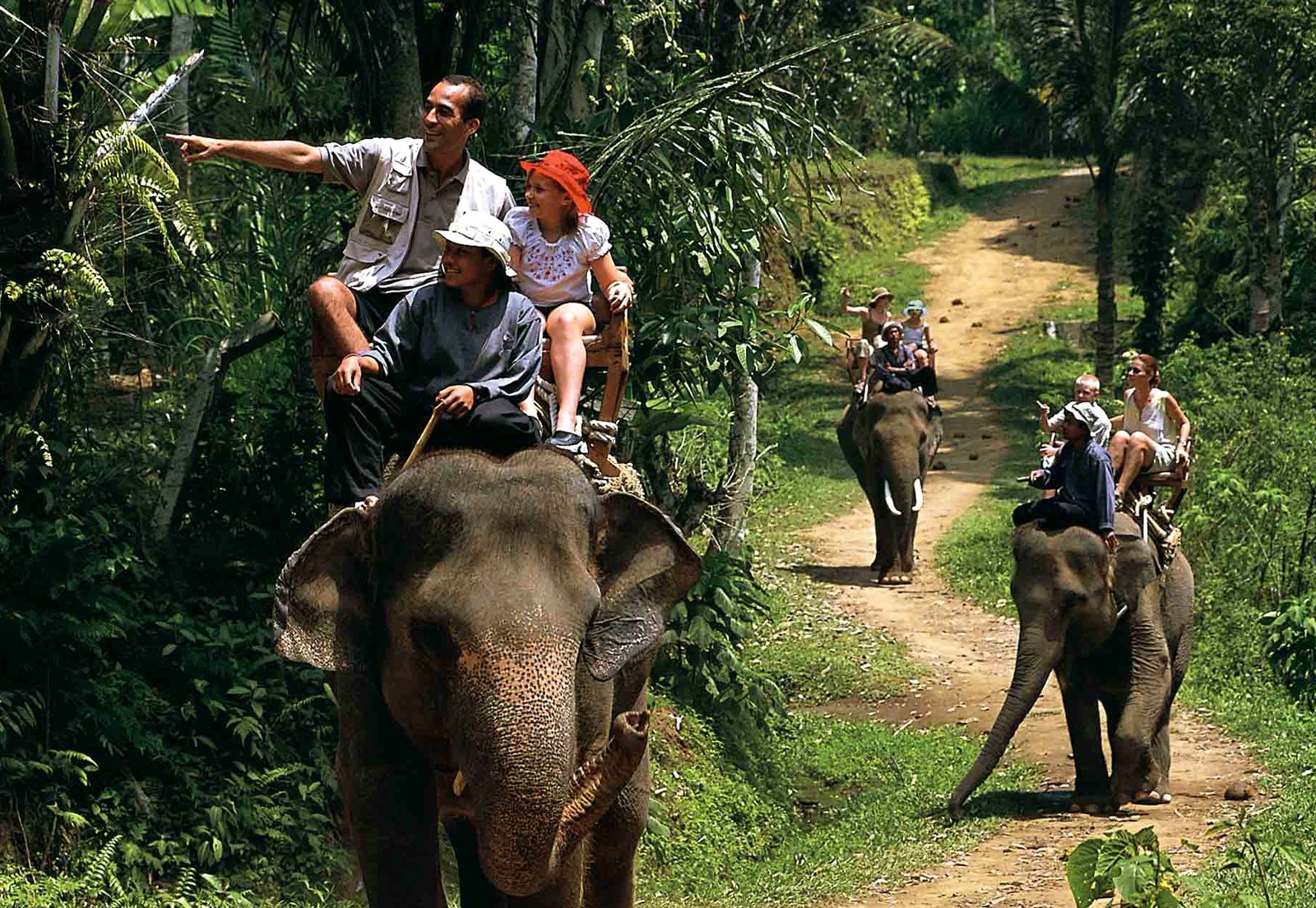 How to take an elephant ride in Bali