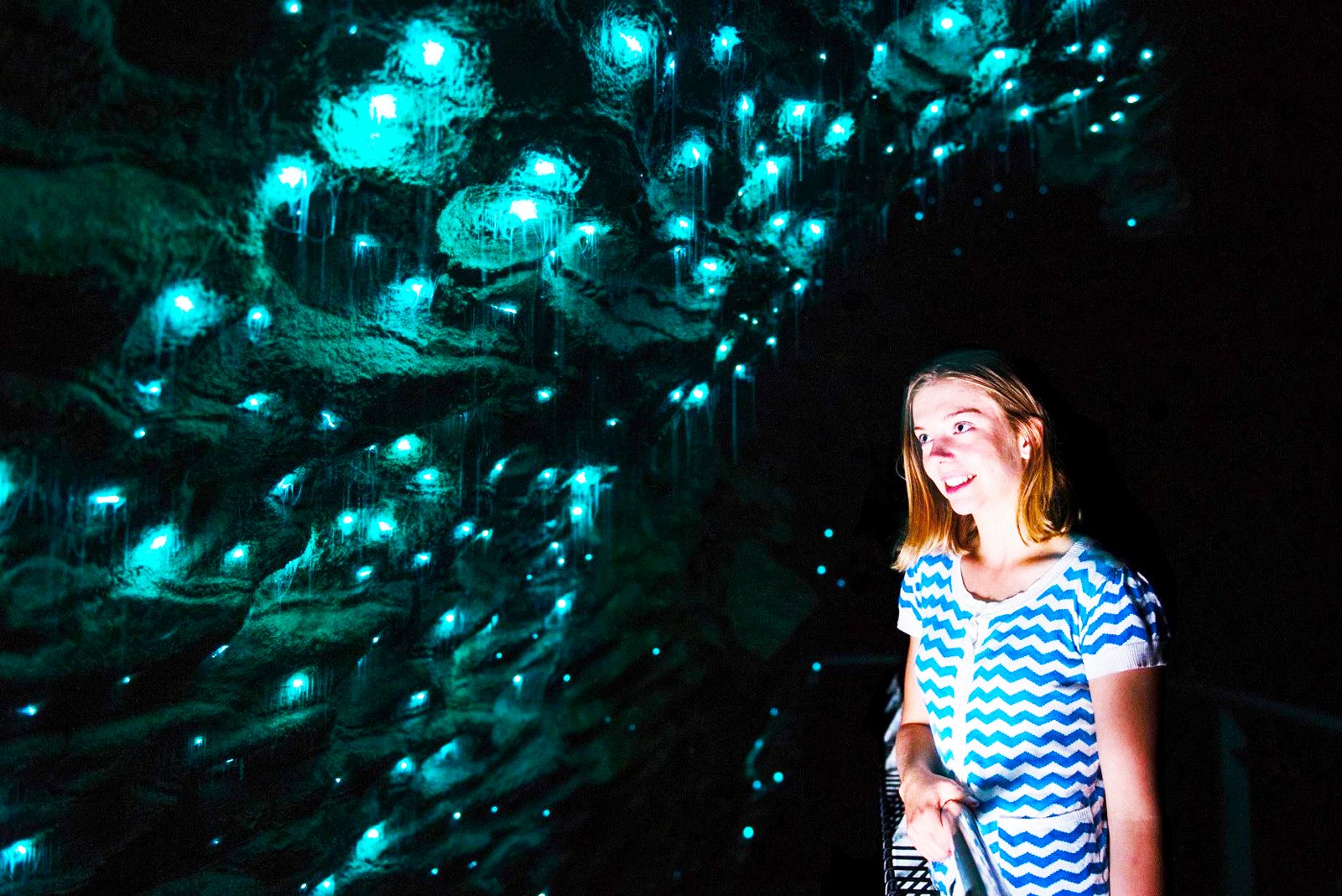 How to get into the glow worm cave in Hamilton