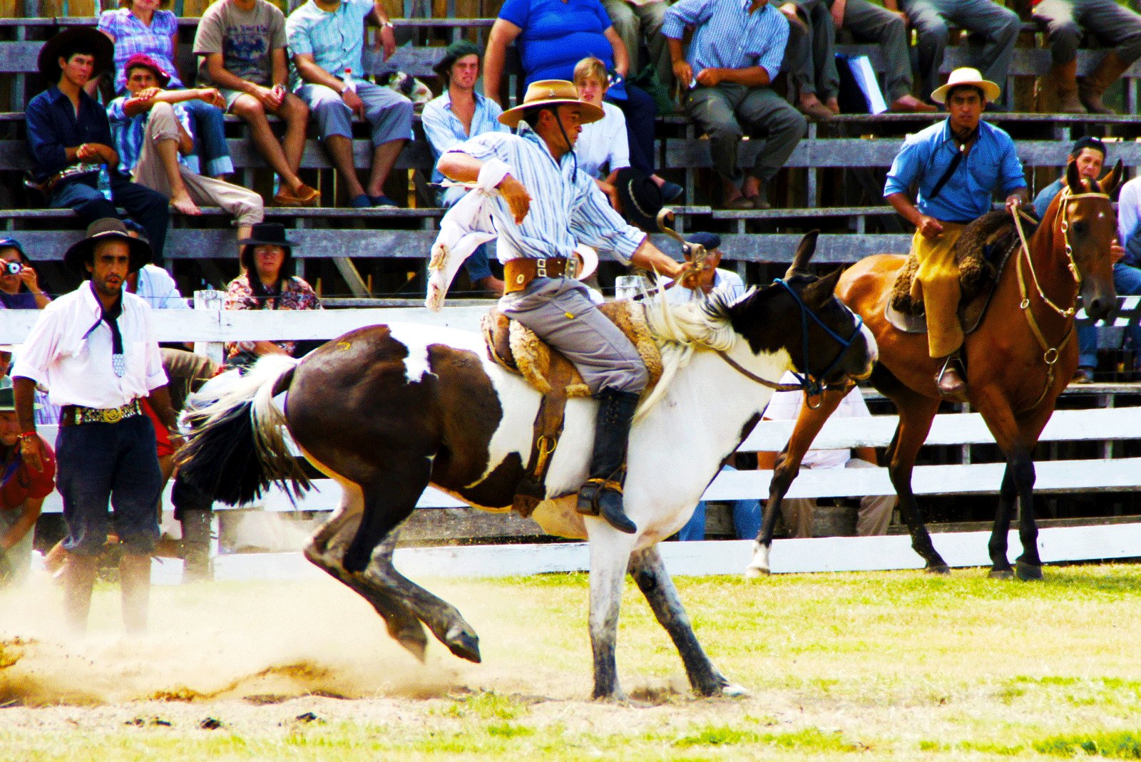 How to watch gaucho rodeo in Tacuarembo