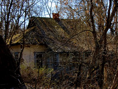 See ghost houses in the exclusion zone in Chernobyl