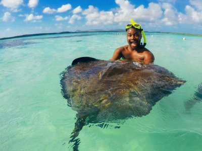 Swim with stingrays on Bora Bora