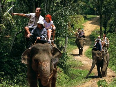 Take an elephant ride in Bali