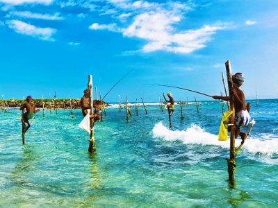 Go stilt fishing in Galle