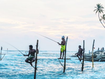 See Sri Lankan fishermen in Galle
