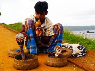 See snake charmer in Galle