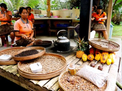 Try the most expensive coffee in the world in Bali