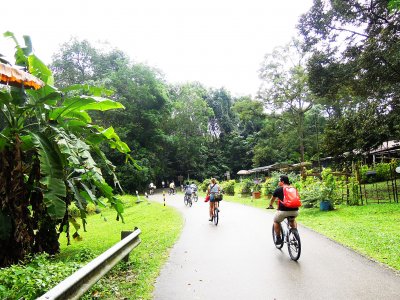Go cycling in Ubin island in Singapore