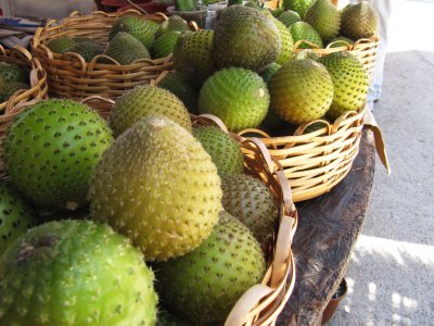 Try cactus fruit copao in Vicuna