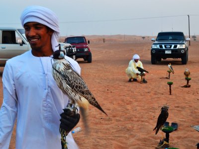 Attend falconry in Dubai