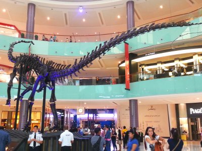 See a skeleton of a gigantic 155,000,000-year-old dinosaur in Dubai