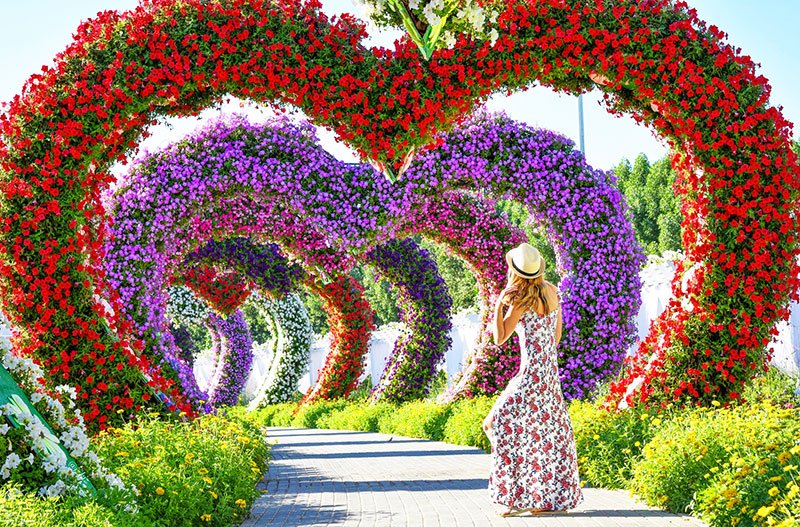 Dubai Miracle Garden, Dubai