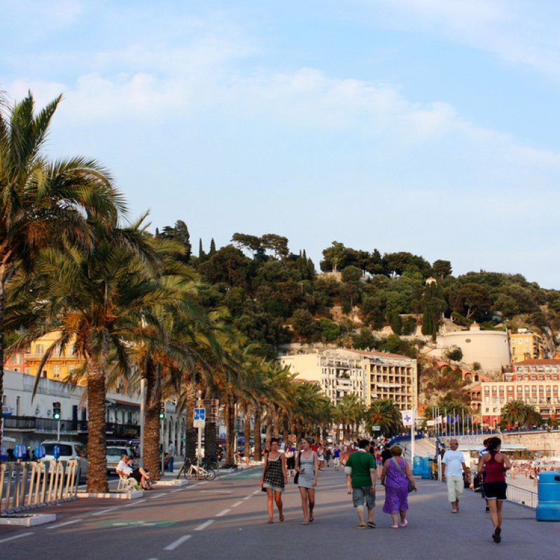 Palm trees on the embankment