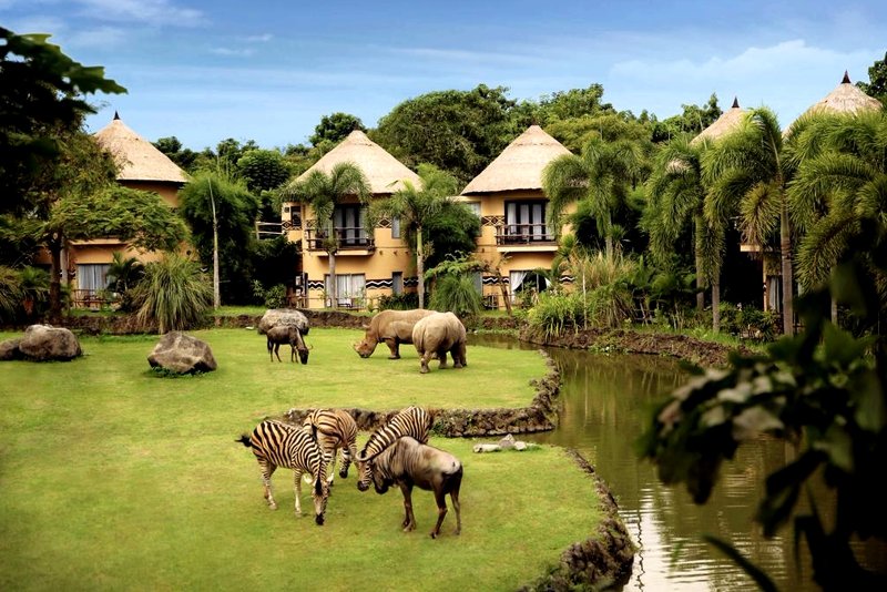 Bali safari and Marine Park, Bali