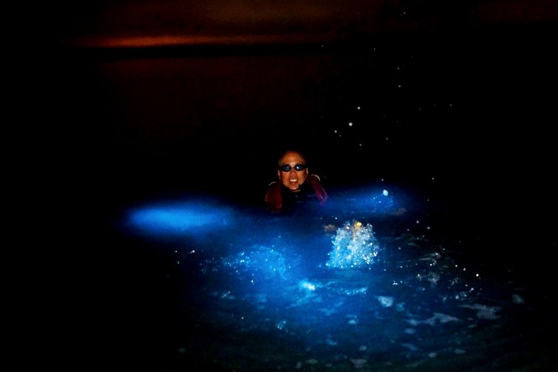 See luminant plankton on a desert beach,