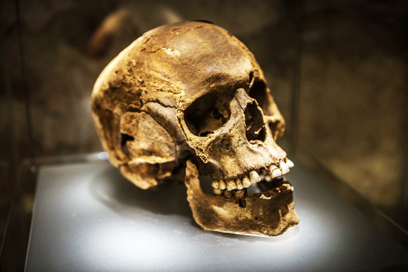 Artefacts exhibition in Rynek Underground, Krakow