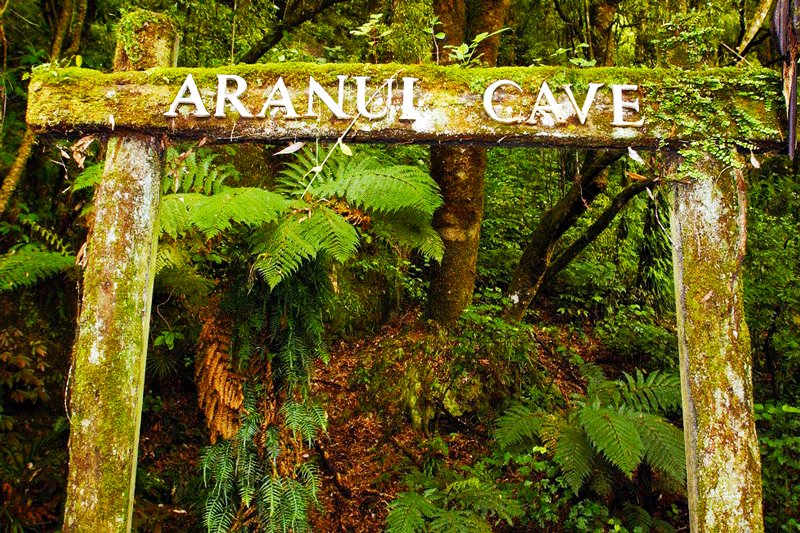Aranui Cave, Hamilton