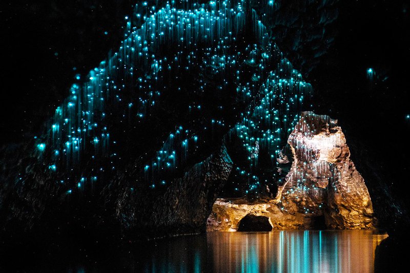 Waitomo Glowworm Cave, Hamilton