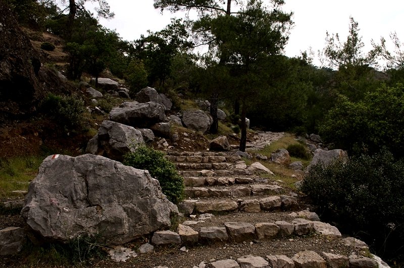 The path leading to the chimera lights