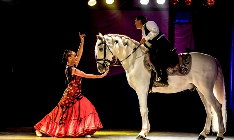 Flamenco
