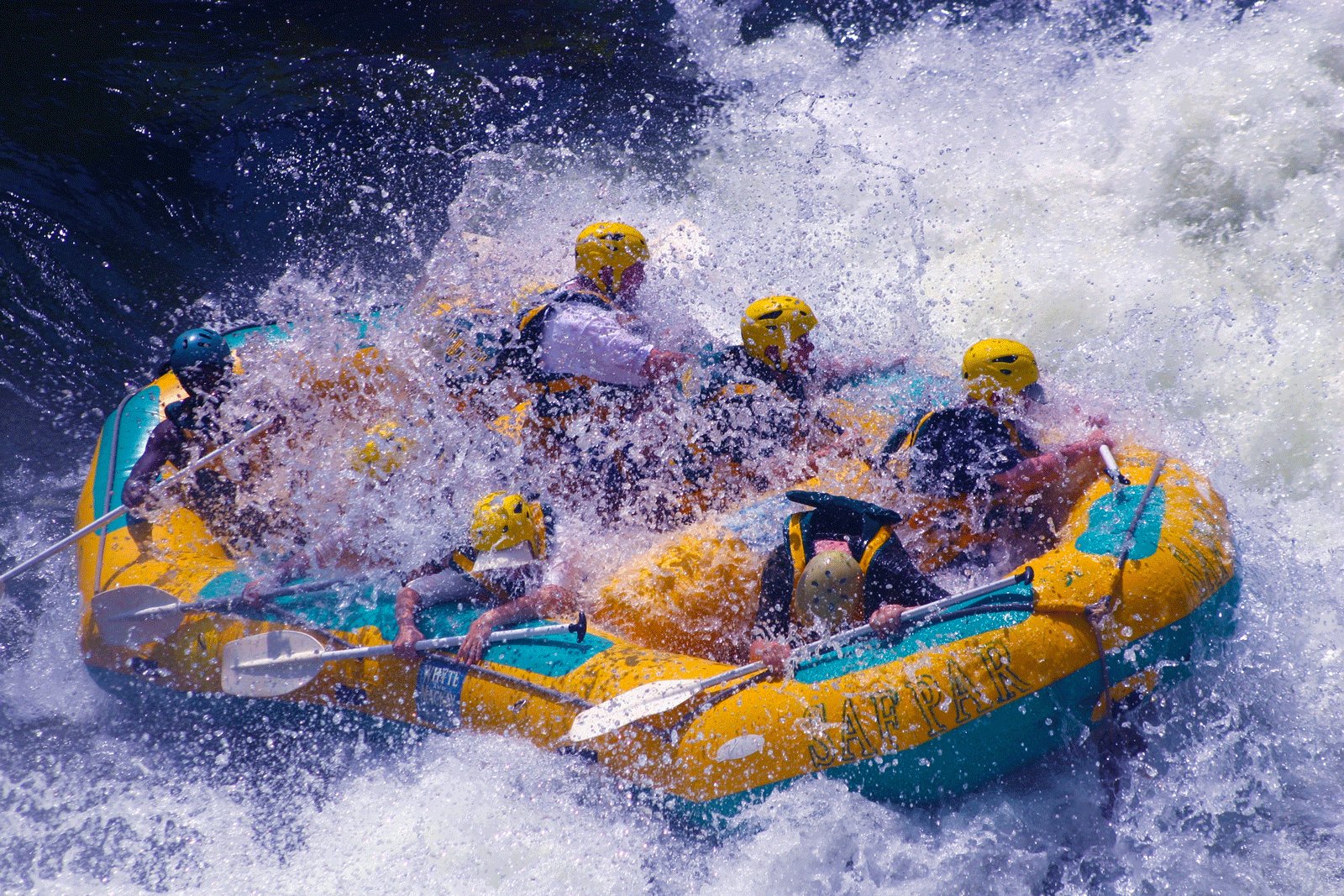 How to go alligator rafting in Livingstone