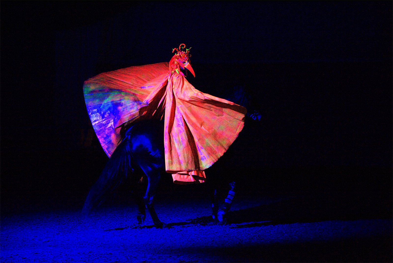 How to see the horse circus show "Al Saheel" in Dubai