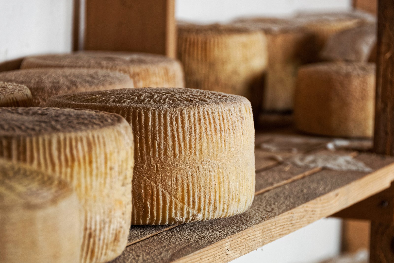 How to try cheese pecorino on Sardinia