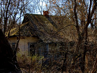 See ghost houses in the exclusion zone in Chernobyl