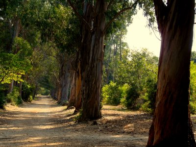 Walk through the alley of love in Marmaris