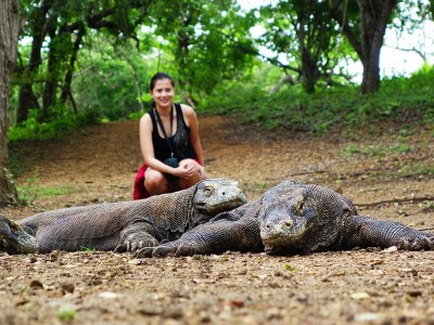 Watch Komodo Dragon on Komodo