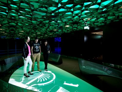 See Dubai from the perspective of A Falcon's Eye View in Dubai