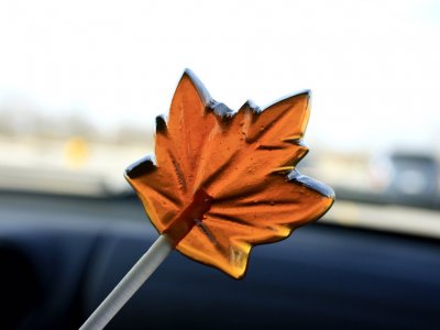 Buy maple candies in Toronto