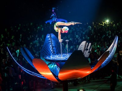 Watch Cirque du soleil in Montreal
