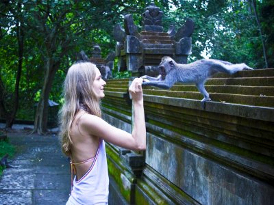 Feed monkeys in Bali