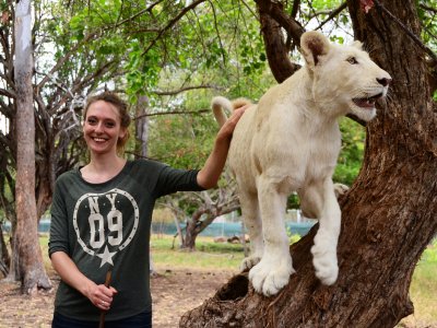 Pat a lion in Port Louis