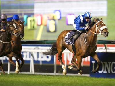 Enjoy the Dubai World Cup in Dubai