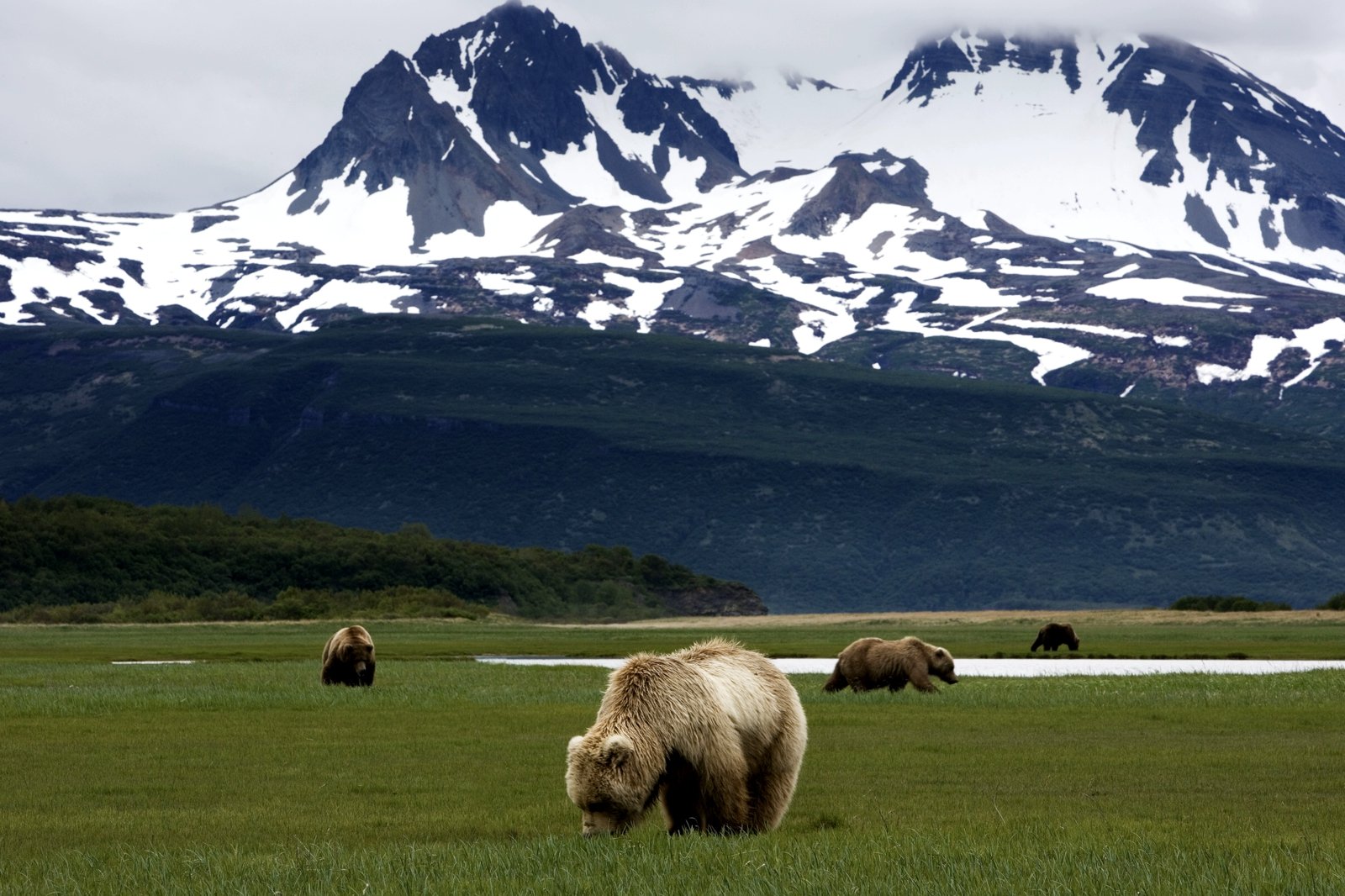 Katmai National Park and Preserve, Anchorage