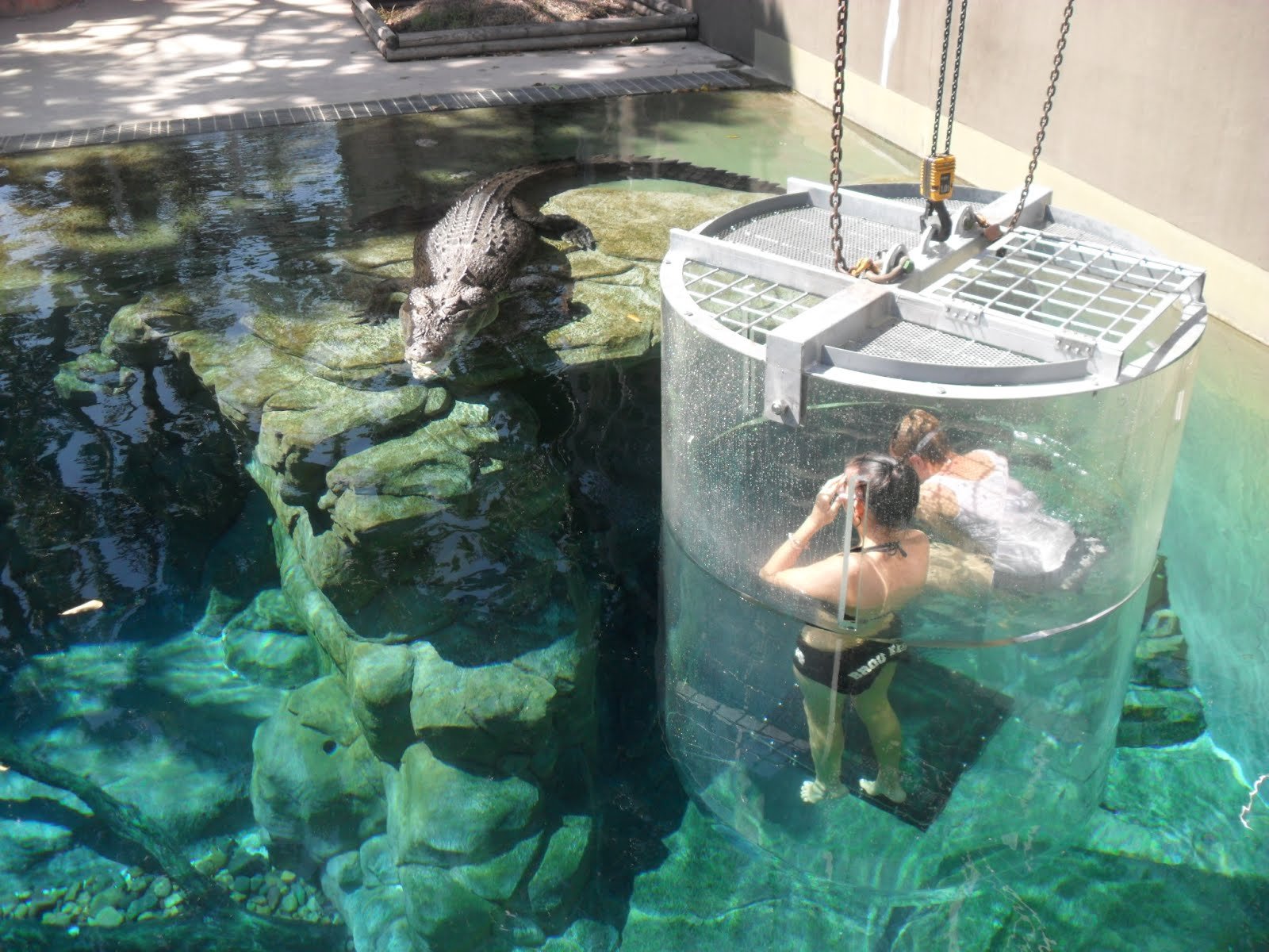 Crocosaurus Cove, Darwin