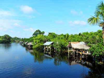 Orinoco delta