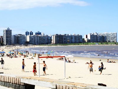Pocitos Beach