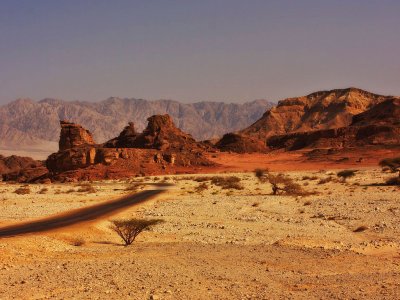 Negev desert