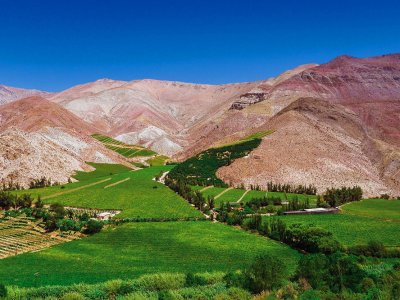 Valle de Elqui