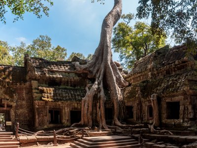 Ta Prohm temple