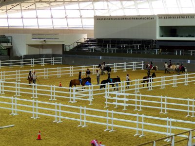 HoofbeatZ horse club in Dubai