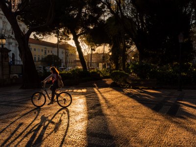 The garden nearby Basilica da Estrela in Lisbon