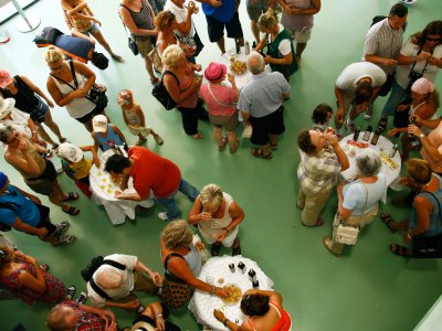 The Olive Oil Experience Tour